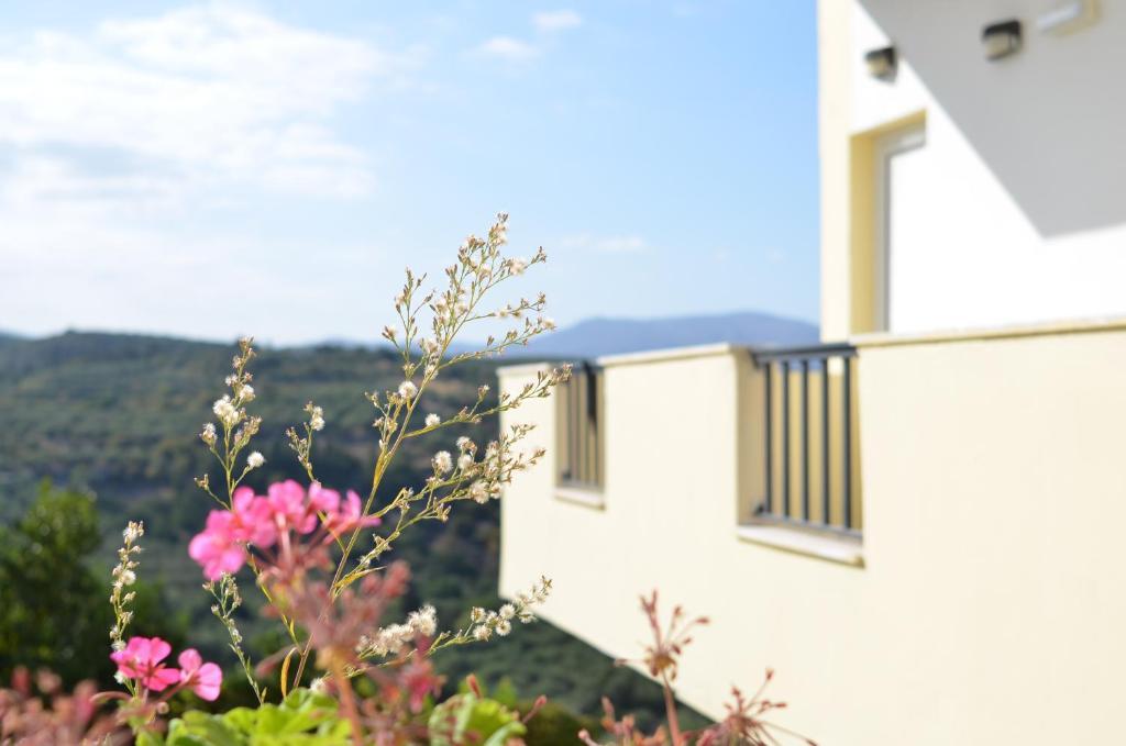 Kaloudis Apartments Almirida Extérieur photo